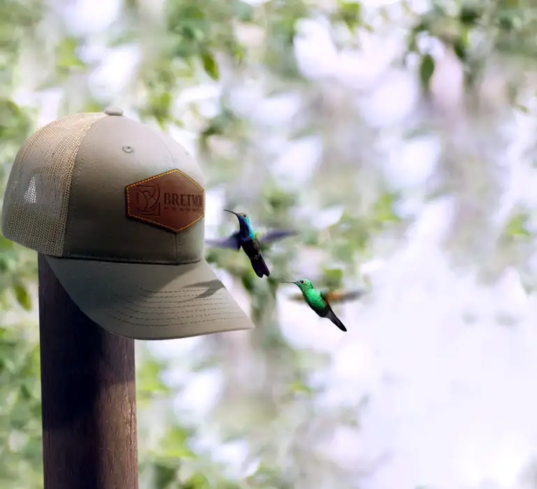 Background image of a cap with a leather patch on a post with hummingbirds hovering around it